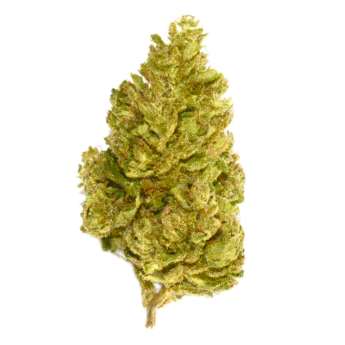 [Fiori CBD] Cheese (Serra)