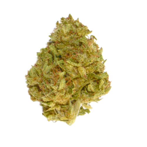 [Fiori CBD] Caramel (Outdoor)