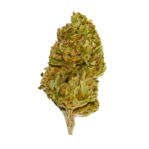 [Fiori CBD] Harlequin (Outdoor)
