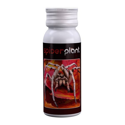 [Antiparassitari] Agrobacterias Spider Plant 15 ml