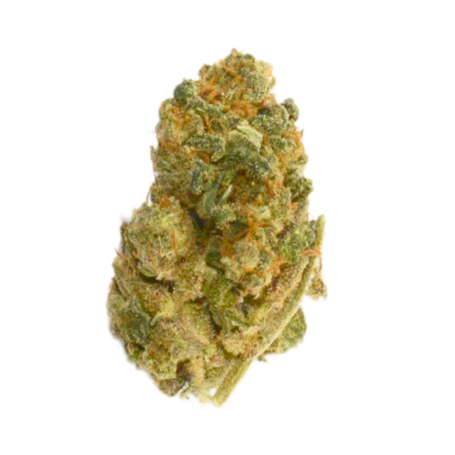 [Fiori CBD] Blue Dream (Indoor)