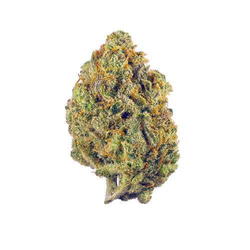 [Fiori CBD] Super Silver Haze (Serra)