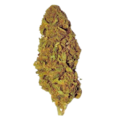 [Fiori CBD] Orange Bud (Serra)