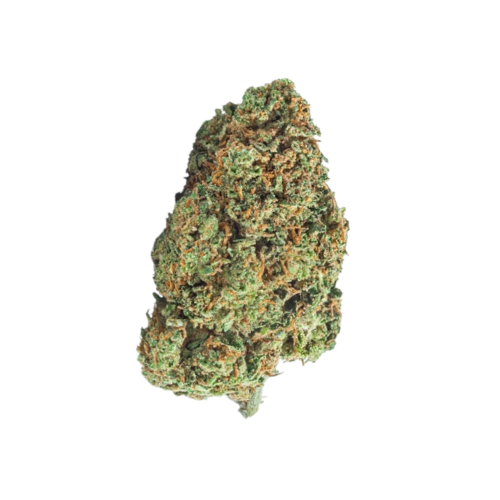 [Fiori CBD] OG Kush (Serra)