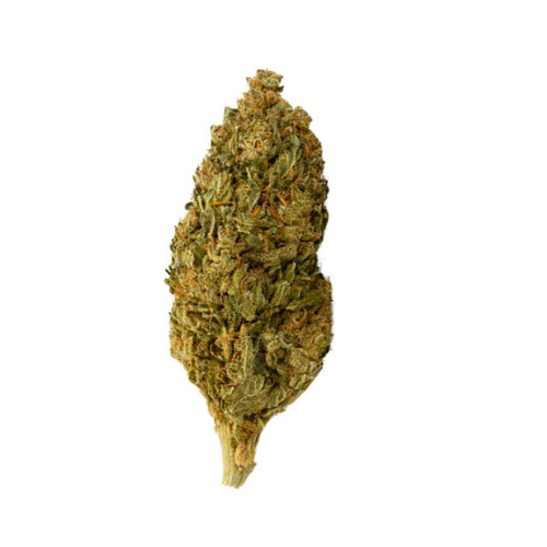 [Fiori CBD] Jungle Dew (Serra)
