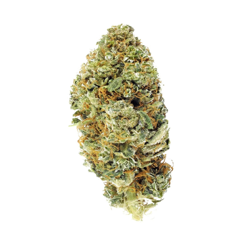 [Fiori CBD] Mango Haze X Lemon Haze (Serra)